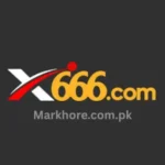 x666